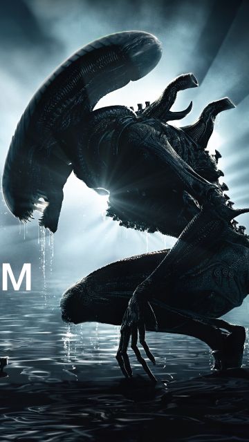 Alien: Romulus, Xenomorph, 2024 Movies, 5K