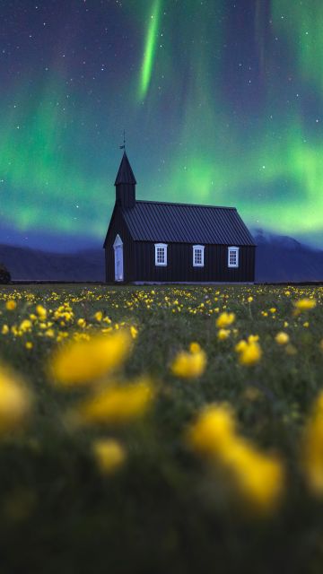 Aurora Borealis, Church, Northern Lights, Iceland, Yellow flowers, Scenic, Landscape, Evening sky, 5K, 8K