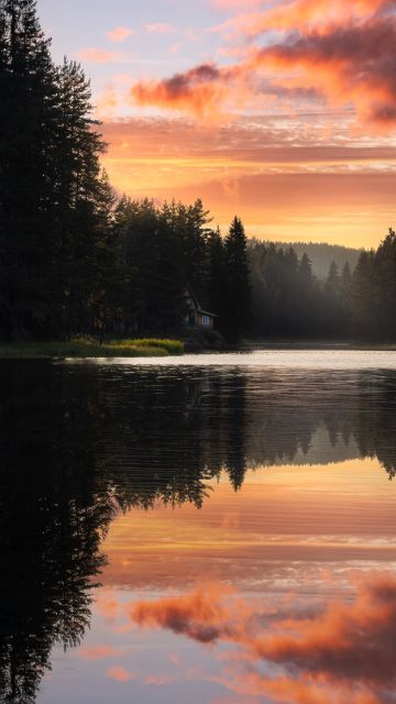 Serene, Lake, Sunset, Forest, Trees, Reflection, Clouds, Body of Water, Scenic, Peaceful, Calm, Tranquil, Quiet, 5K, 8K