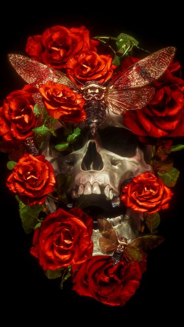 Skull, Roses, AMOLED, 5K, Black background, Darkness