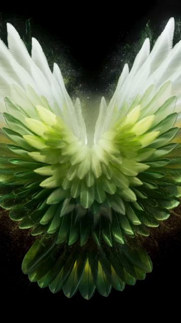 Angel wings, Green aesthetic, Tecno Phantom V Fold 2 Stock, Black background, AMOLED