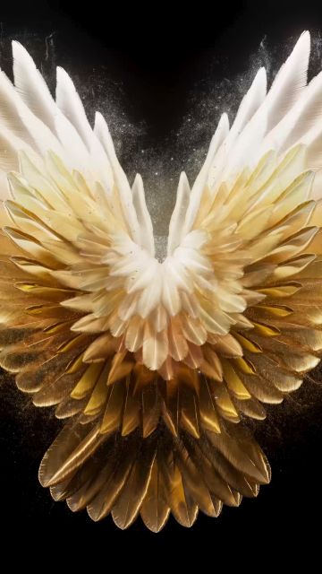 Angel wings, Golden yellow, AMOLED, Tecno Phantom V Fold 2 Stock, Black background