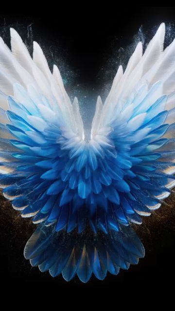 Angel wings, AMOLED, Blue aesthetic, Tecno Phantom V Fold 2 Stock, Black background