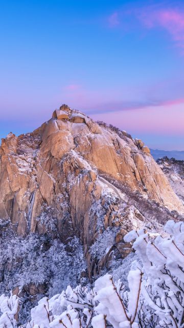 Bukhansan National Park, Mountain Peak, Seoul, South Korea, Winter, Frozen trees, Snow covered, Early Morning, Aesthetic