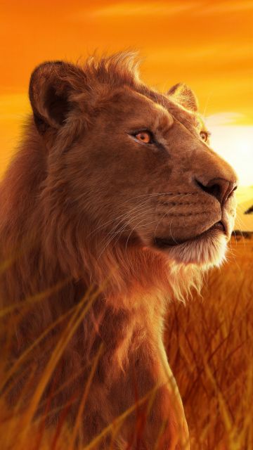 Mufasa, 5K, Mufasa: The Lion King, 2024 Movies