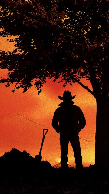 Yellowstone, Season 5, 2024 Series, TV series, Silhouette, Sunset, Western, Cowboy