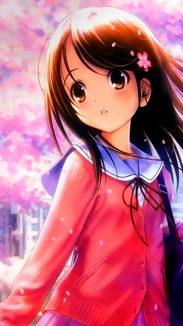 Pretty, Anime girl, Cherry blossom, Sakura, Spring