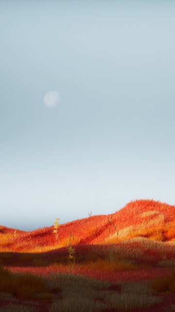 Orange aesthetic, Landscape, Surreal, Autumn Scenery, Red Grass, Minimalist, Dreamlike, Horizon, Ethereal, Moonrise, Serene, Wilderness, 5K