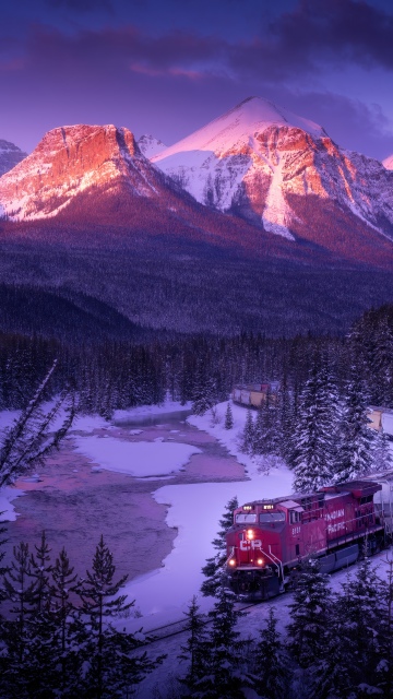 Morant's Curve, Alpenglow, Canadian Rockies, Winter Mountains, Winterscape, Winter forest, Snowy Mountains, Train, Sunset, 5K, Frozen, Pine trees, Scenic, Banff National Park, Majestic