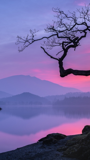 Pastel, Sunset, Lake, Mountains, Serene, Reflection, Silhouette, Lone tree, Dusk, Twilight, Misty, Scenic, Calm