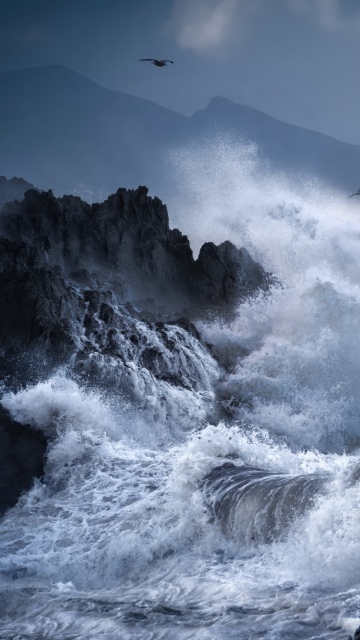 Stormy, Waves, Rocky coast, Dramatic, Seascape, Seabirds, Coastal, 5K, Dark