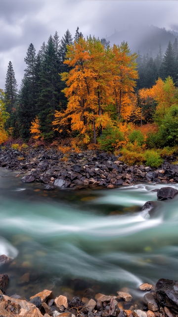 Autumn, River Stream, Flowing Water, Autumn foliage, Misty mountains, Rocky shore, Long exposure, Serene, Cloudy Sky, Autumn Scenery, Autumn season, 5K