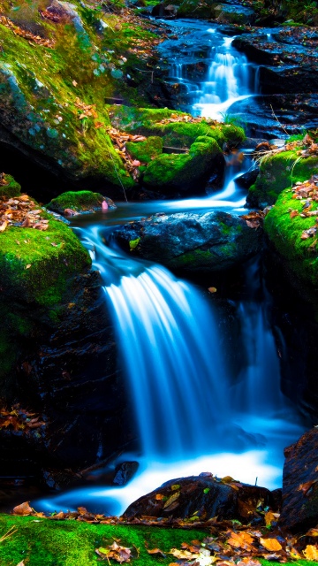 Mossy rocks, Green Moss, Autumn leaves, Forest, Water Stream, Long exposure, Serene, Flowing Water, Lush green field, Tranquility, 5K