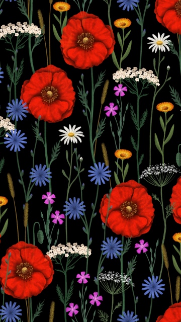 Poppies, Floral designs, Floral Background, Wildflowers, Botanical, Dark background, Flower patterns, 5K