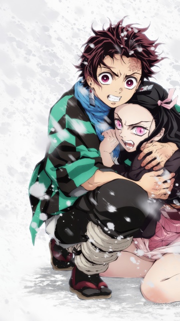 Nezuko Kamado, Tanjiro Kamado, Demon Slayer: Kimetsu no Yaiba