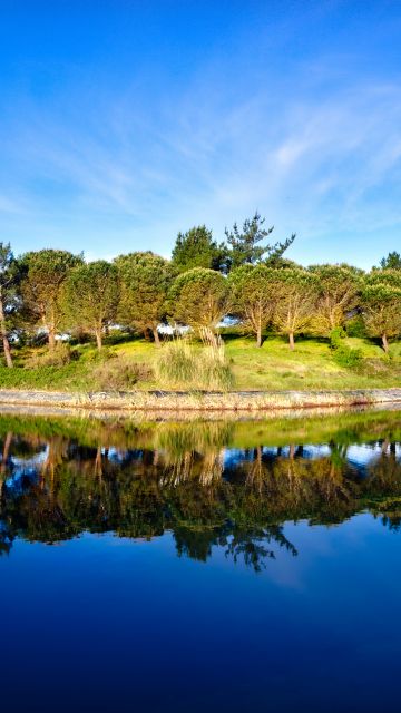 Green Trees, Blue Sky, Golf course, Pond, Water, Reflection, Green, Landscape, 5K, 8K