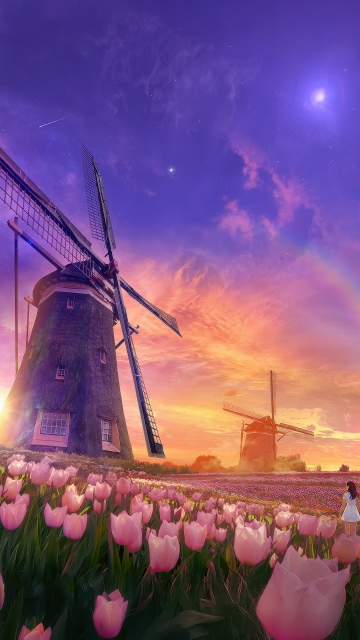 Tulips field, Windmill, Surrealism, Aesthetic, 5K, Sunset, Rainbow, Dreamy, Scenic