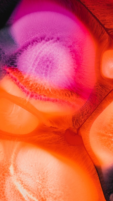 Vibrant, Fluid art, Liquid art, 5K, 8K