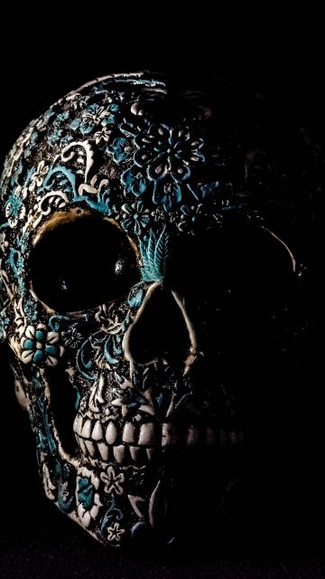 Skull, Human, Skeleton, Black background, Art, 5K