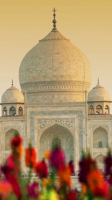 Taj Mahal, Agra, India, UNESCO World Heritage Site, Wonders of the World, 5K