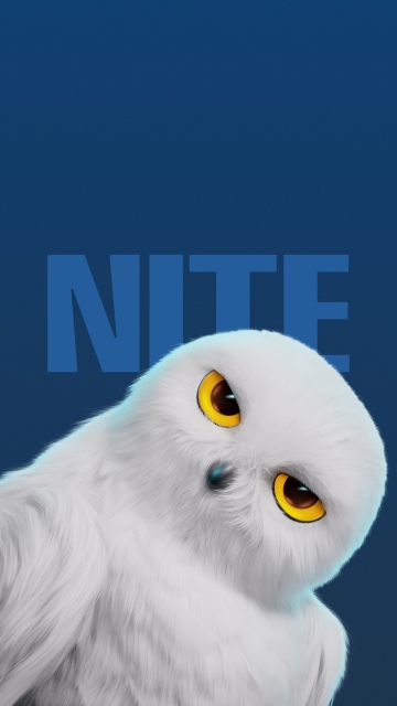 White Owl, Cute cartoon