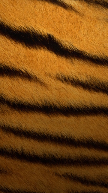Tiger skin, Texture