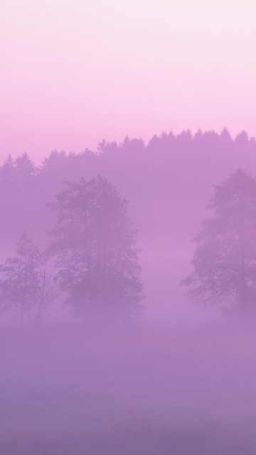 OS X Lion, Pink aesthetic