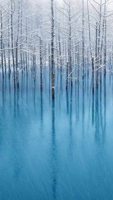 OS X Mountain Lion, Winter