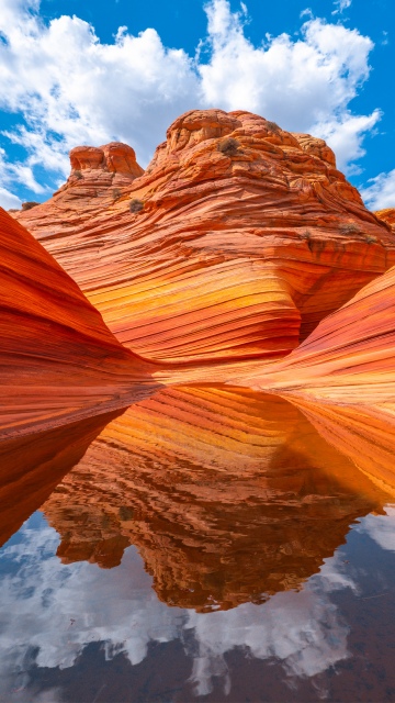 The Wave, Arizona