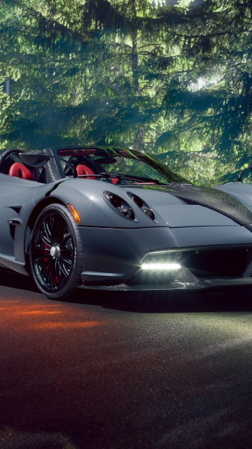 Pagani Huayra Roadster, 8K