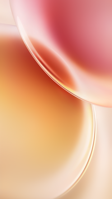 Vivo X300 Stock