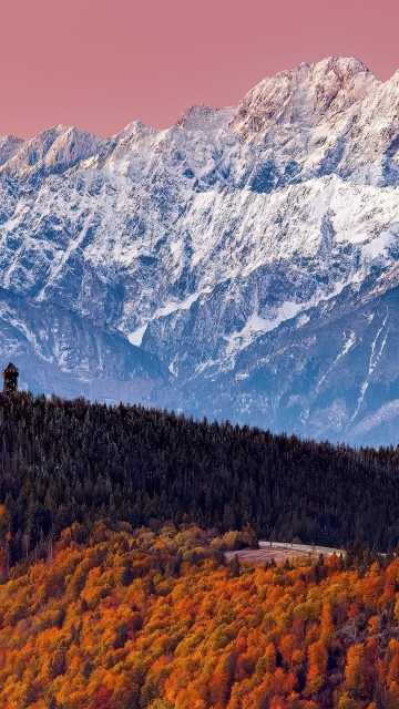 Tatra Mountains, Autumn Forest