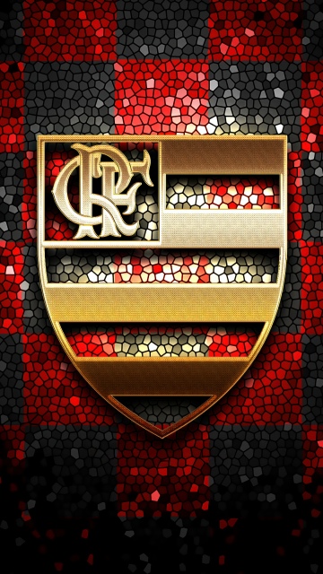 Clube de Regatas do Flamengo, Mosaic