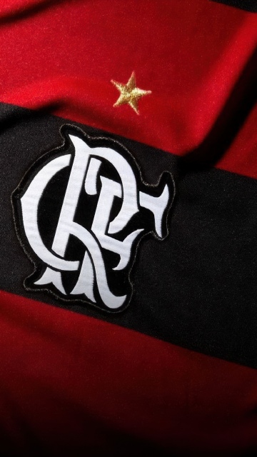 CR Flamengo, Crest