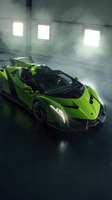 Lamborghini Veneno Roadster, 8K