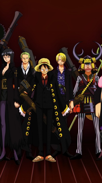 Luffy's crew, One Piece