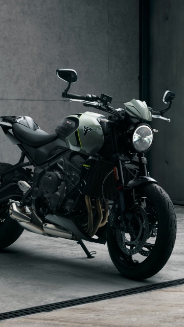 Triumph Trident 660, Muscular