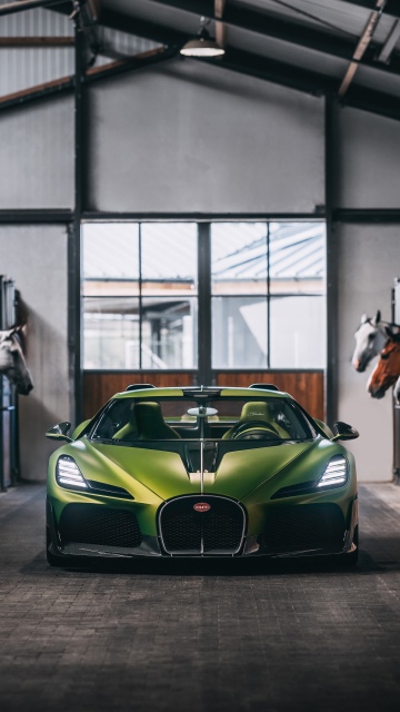Bugatti Brouillard inspired by Ettore Bugatti's horse