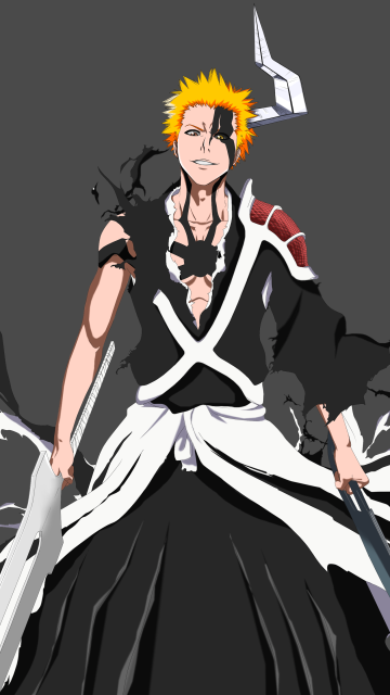 Ichigo Kurosaki, Horn of Salvation