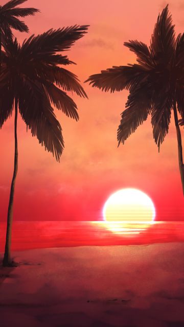 Sunset, Tropical, Trees, Silhouette, Dawn, Warm