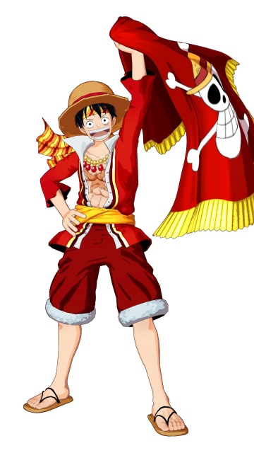Monkey D. Luffy, Jolly Roger flag