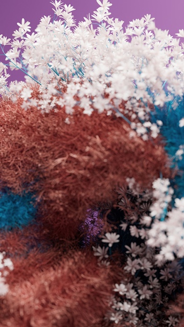 Fluffy, Floral Background