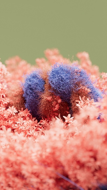 Floral, Pink moss