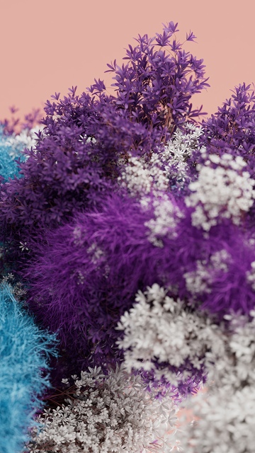 Colorful, Floral Background