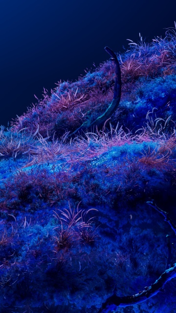 Bioluminescence, Neon art