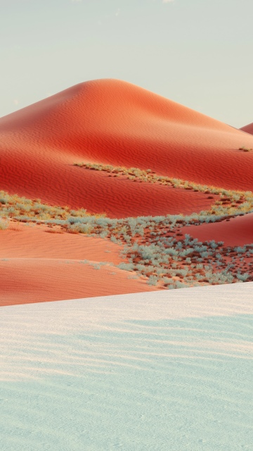 Red dunes, Desert