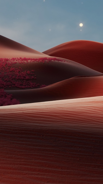 Terracotta, Sand Dunes