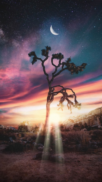 Lonely iPhone wallpaper