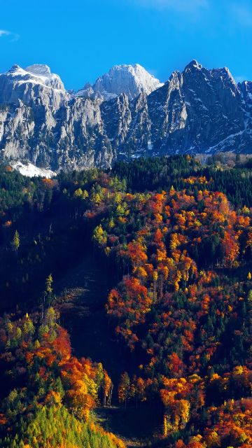 Autumn trees, Snow mountains, Blue Sky, Glacier, Landscape, Mountain range, Scenery, 5K
