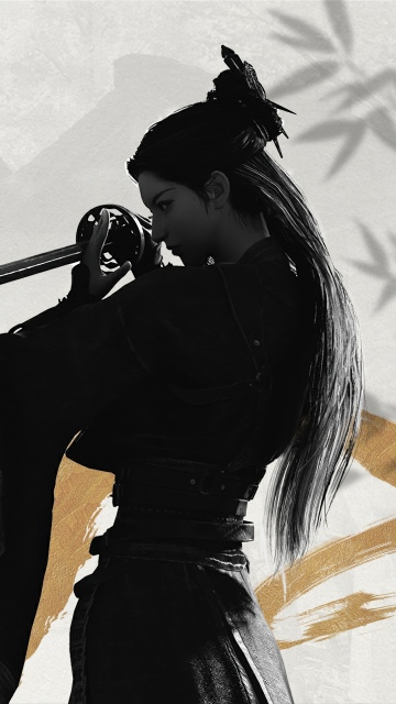 Where Winds Meet, Key Art